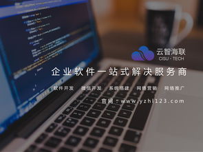 云智海聯時代，工業軟件定制開發 企業數字化轉型的核心引擎